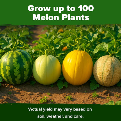HOME GROWN 𝗨𝗦𝗔 𝗣𝗥𝗘𝗠𝗜𝗨𝗠 Melon Seeds Variety Pack 5 𝗡𝗢𝗡-𝗚𝗠𝗢 Heirloom Vegetable Seeds