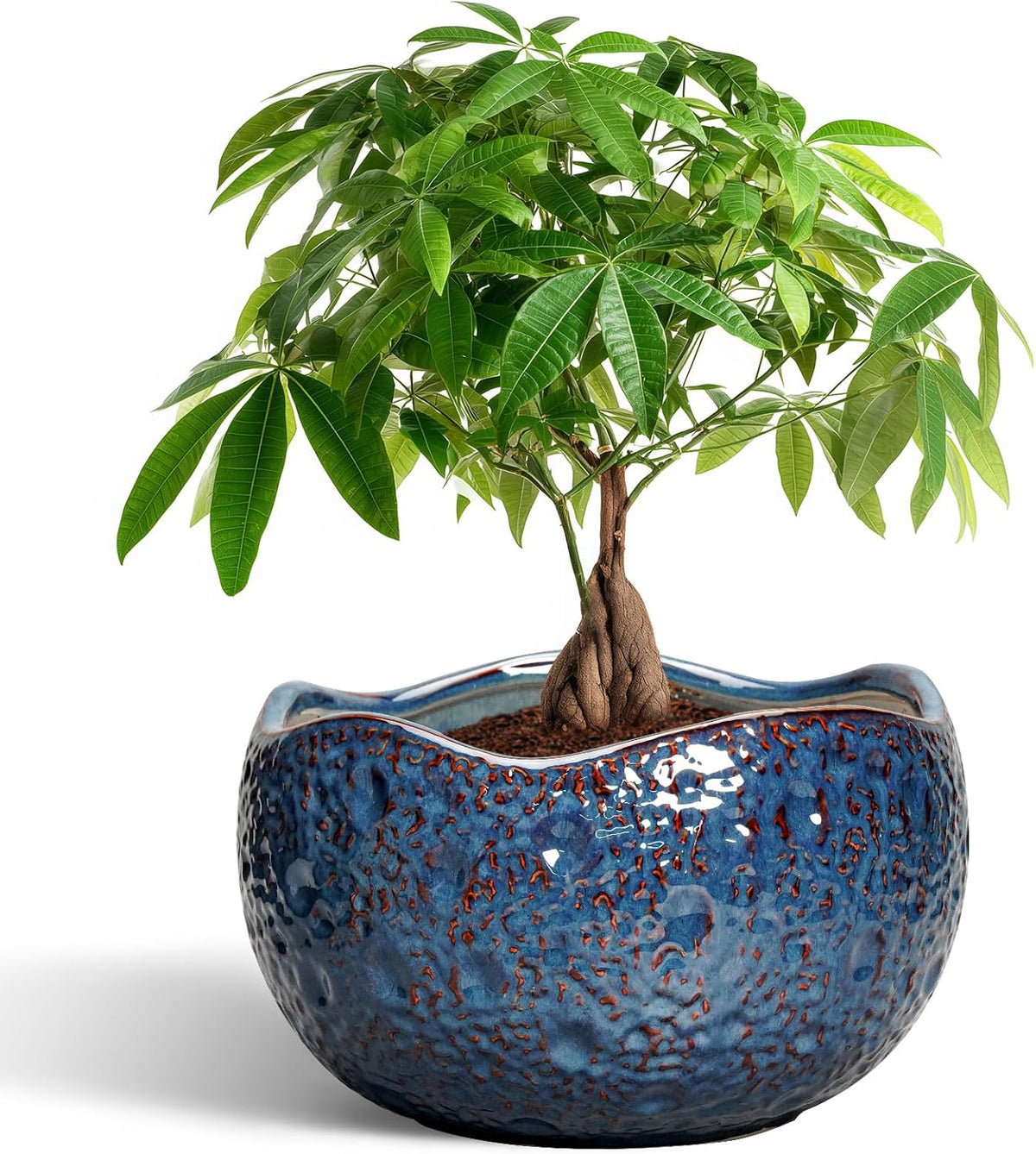 10 Inch Plant Pot - Ceramic Planter for Indoor Outdoor, Round Bonsai Pots, Decorative Flower Pots