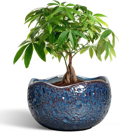 10 Inch Plant Pot - Ceramic Planter for Indoor Outdoor, Round Bonsai Pots, Decorative Flower Pots