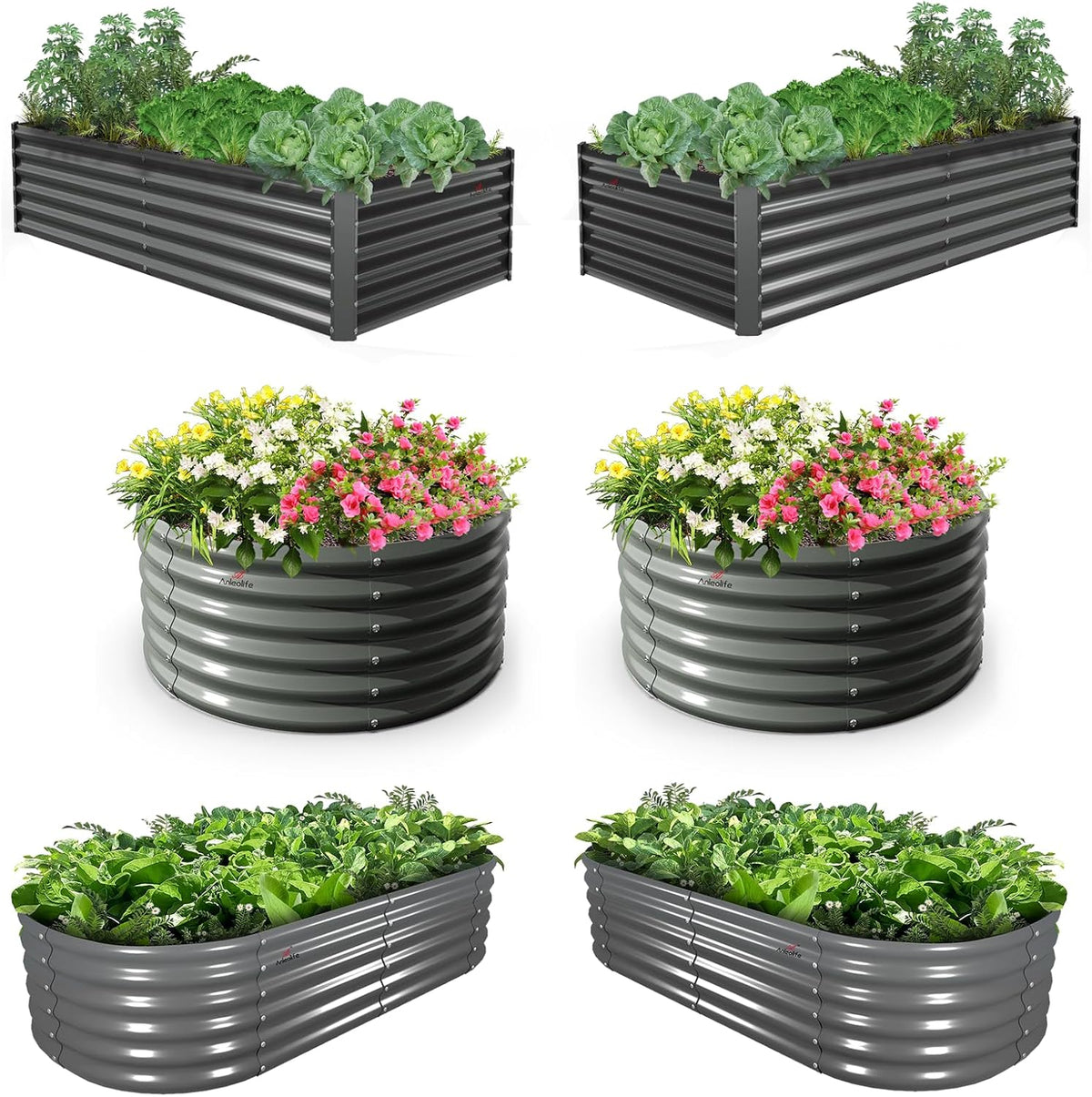 A ANLEOLIFE 6-Pack 4X4 & 6X3 & 6X2 Deep Root Galvanized Raised Garden Beds Outdoor for Planting