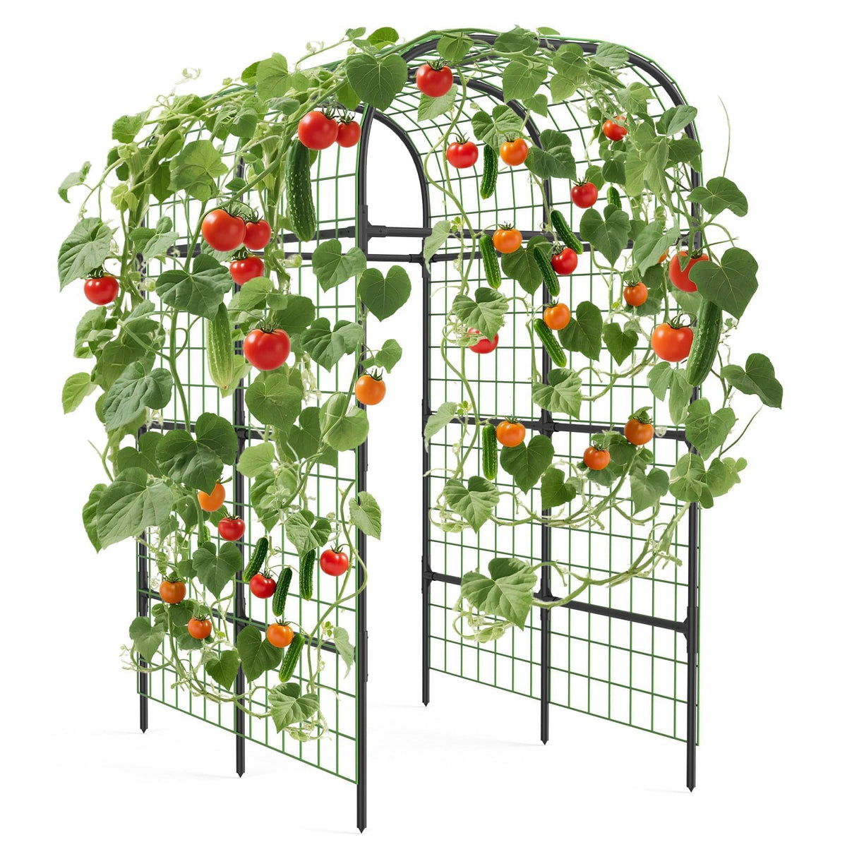 Metal Garden Arch Trellis, 7.3Ft Black for Raised Beds, Plant Support for Cucumbers & Climbing