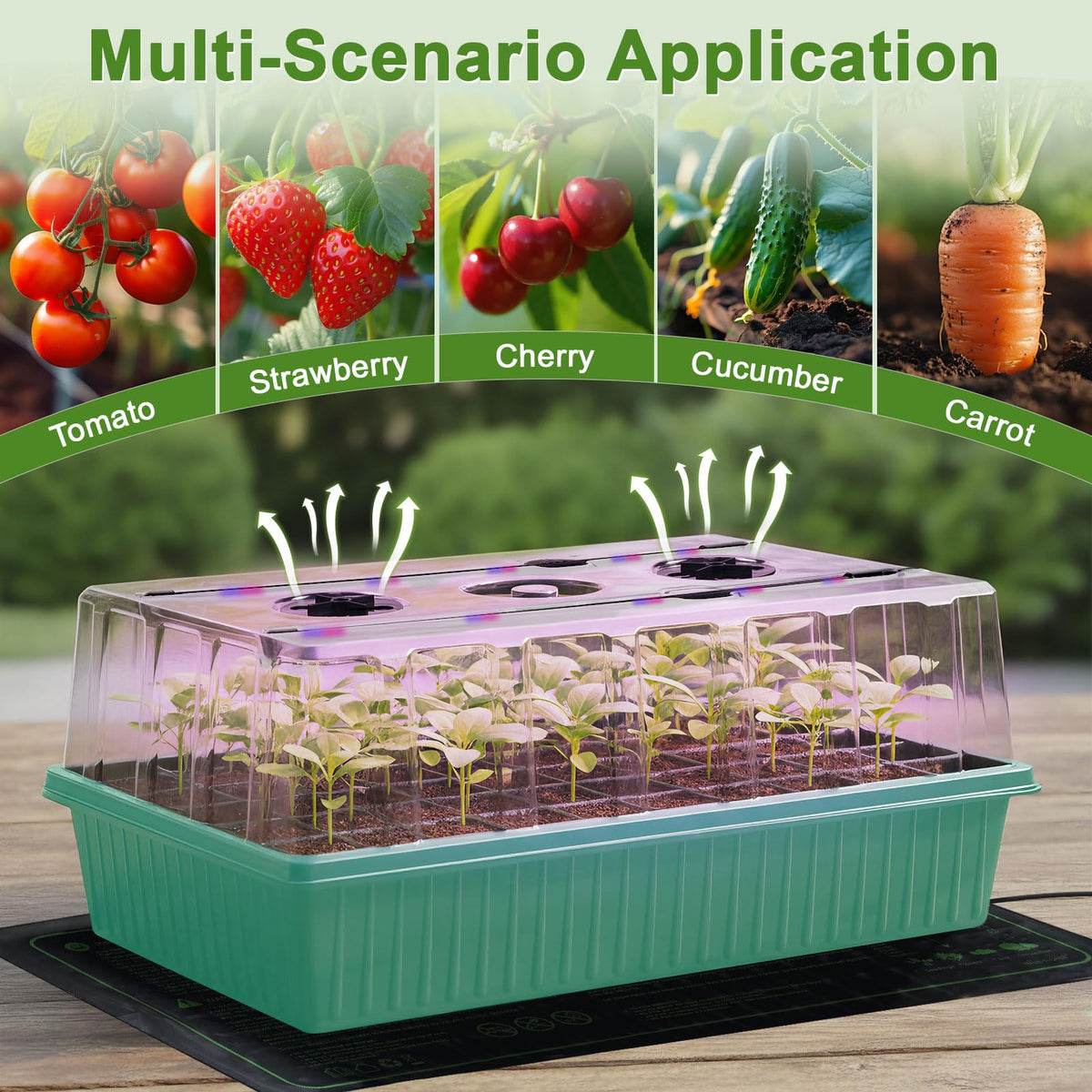 120-Cell Self-Watering Seed Starter Tray with Grow Light, Indoor Seed Starting Kit Trays with Heat