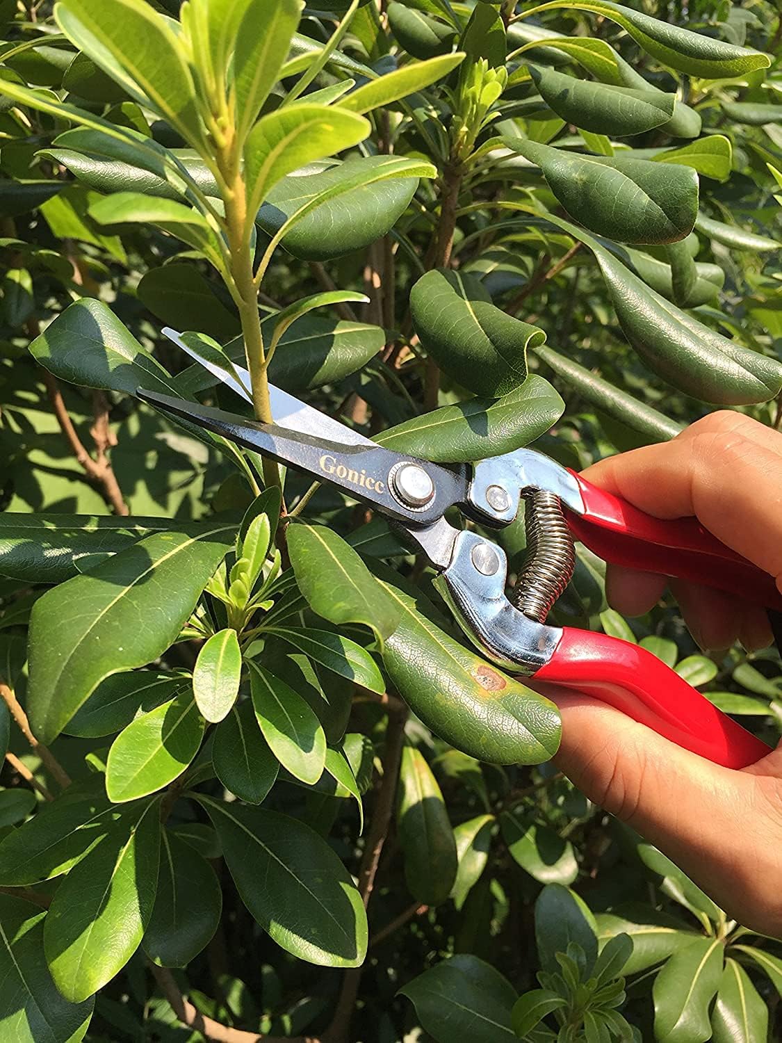 gonicc Professional Micro-Tip Pruning Snip (GPPS-1008), Small Garden Hand Pruner & shears For