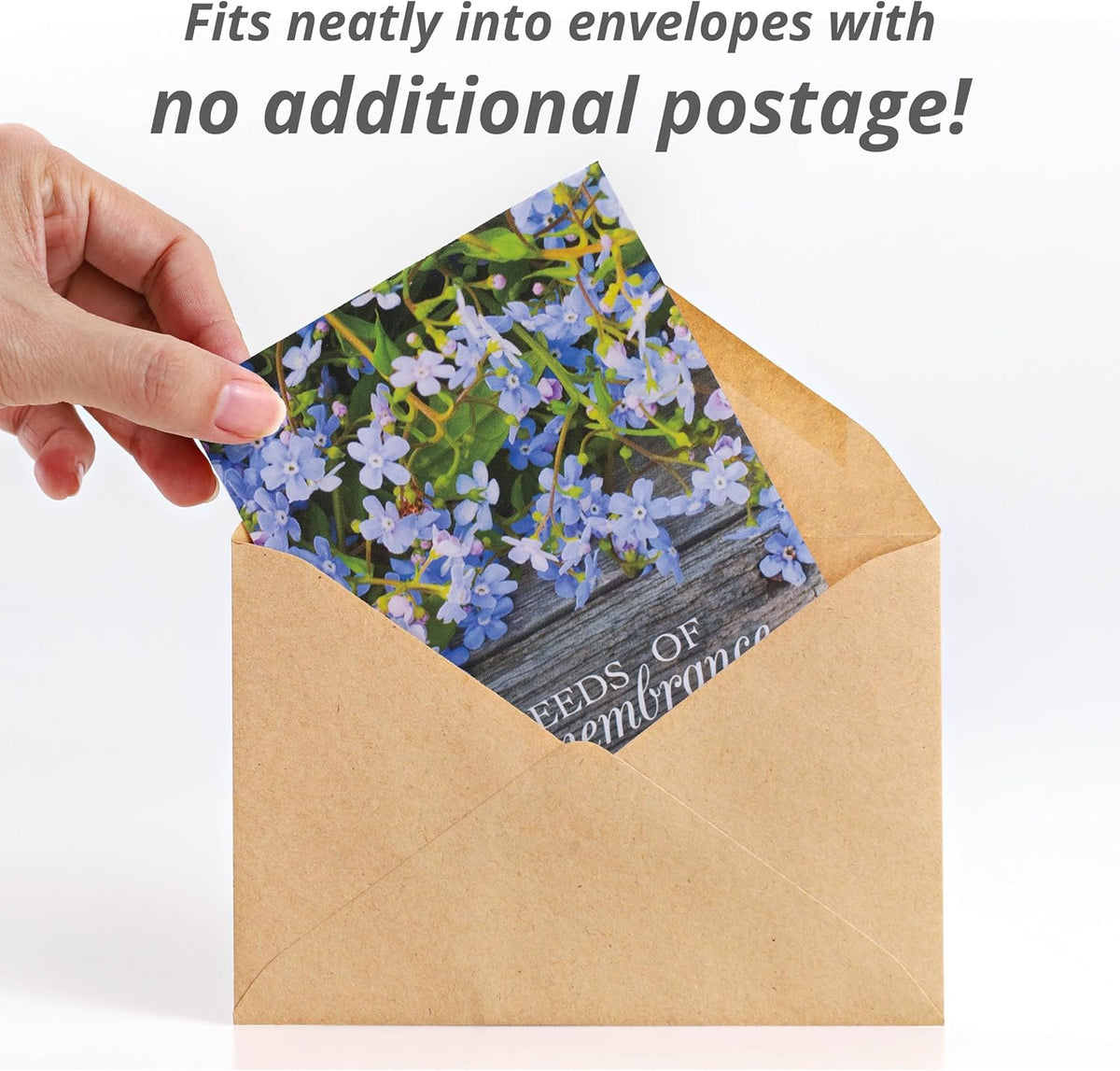 Bentley Seed Co. | Seeds of Remembrance | Pre Filled Non-GMO, Non-Coated Forget Me Not Seeds