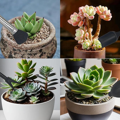 13Pcs Succulent Tools Set Mini Garden Tool Kit Transplanting Tools for Succulent Care Miniature