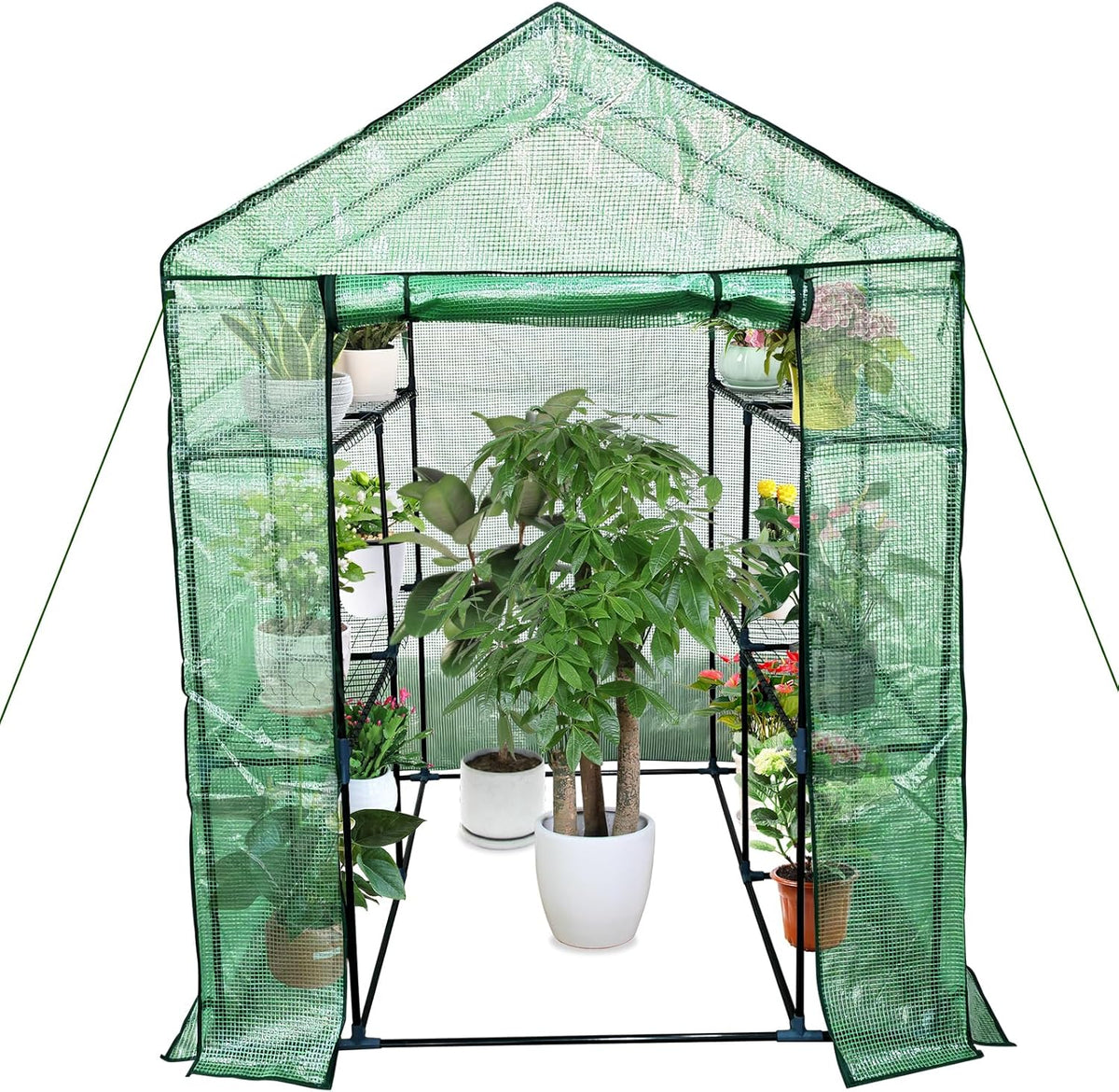 Greenhouse for Outdoors,Walk in 3-Tier 6 Shelves Green House w/ Roll-Up Zippered Door Anchors and