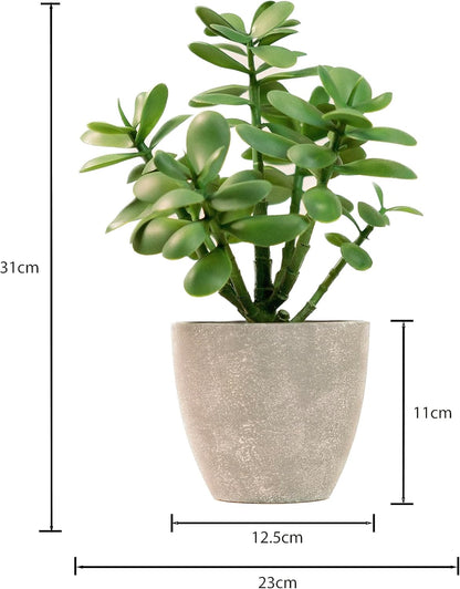 365 Blooming Decor Artificial Jade Plant 12 inch in Gray Pot for Home, Office Decor, Money Tree
