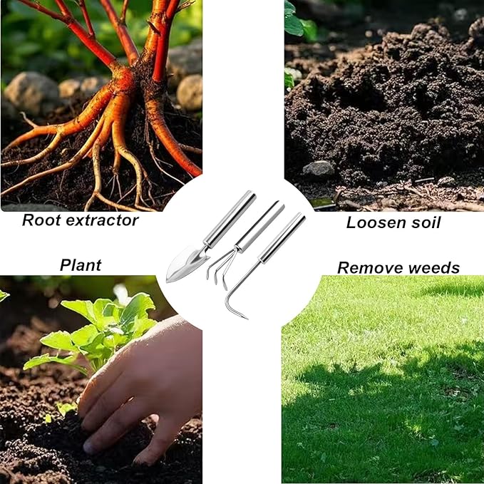 3 Pcs Stainless Steel Mini Garden Tools Set Small Tiny Shovel Trowel Root Extractor Hand Rake