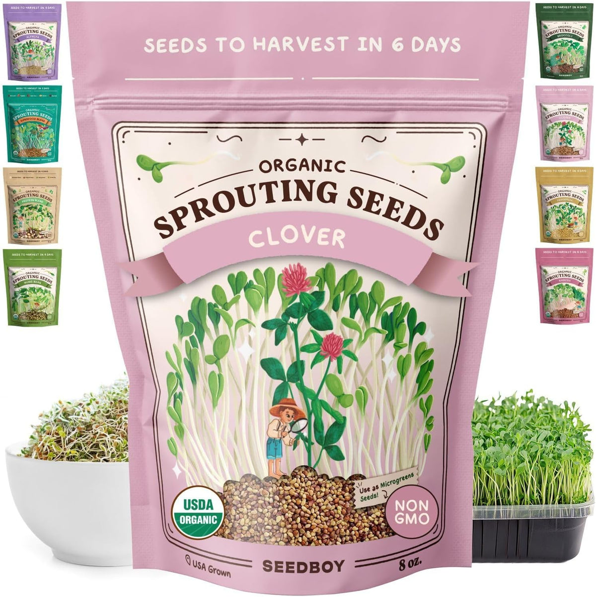 Seedboy Organic Non-GMO Clover Seeds for Sprouting - USA Grown Microgreens Sprouting Seeds - 8 oz