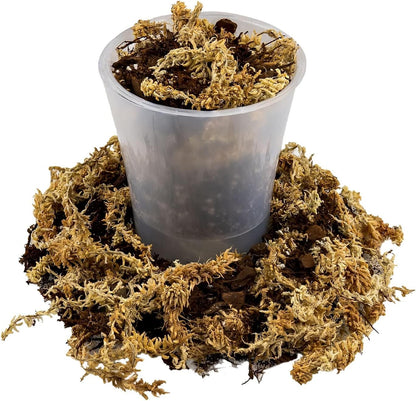 Gardenera Premium Orchid Mix by GARDENERA - 20 Quart - Fern + New Zealand Pine Bark + Sphagnum Moss