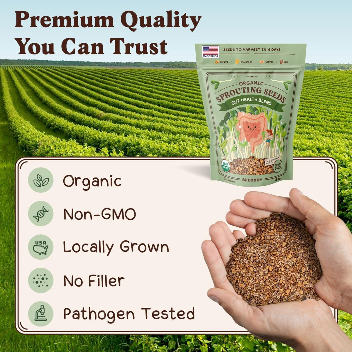 Seedboy Organic Non-GMO Sprouting Seeds, Gut Health Blend – USA Grown Microgreens Mix with Clover
