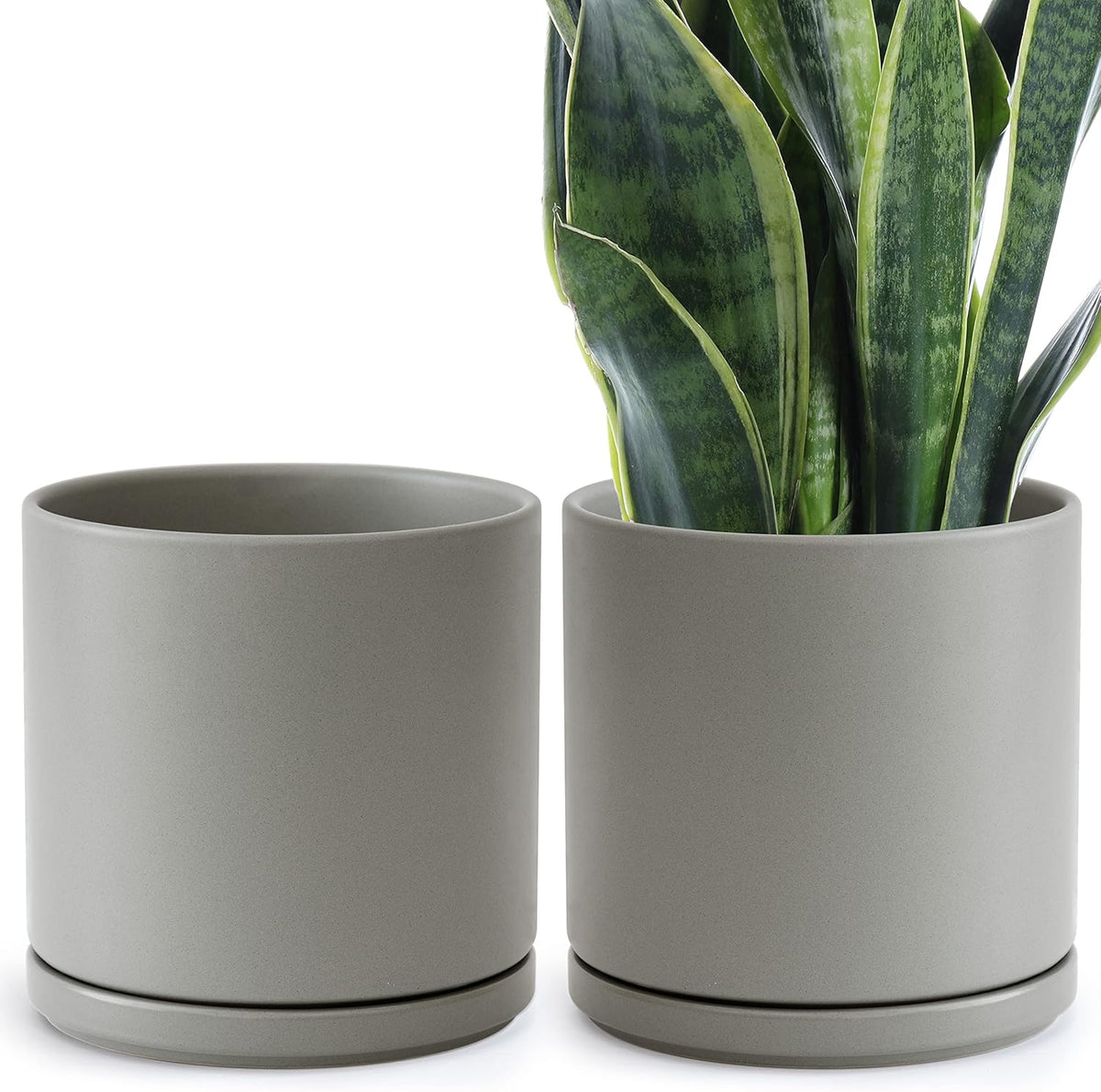 D'vine Dev Set of 2 Plants Pots, 10 Inch Ceramic Planter Pot for Plants with Drainage Hole and