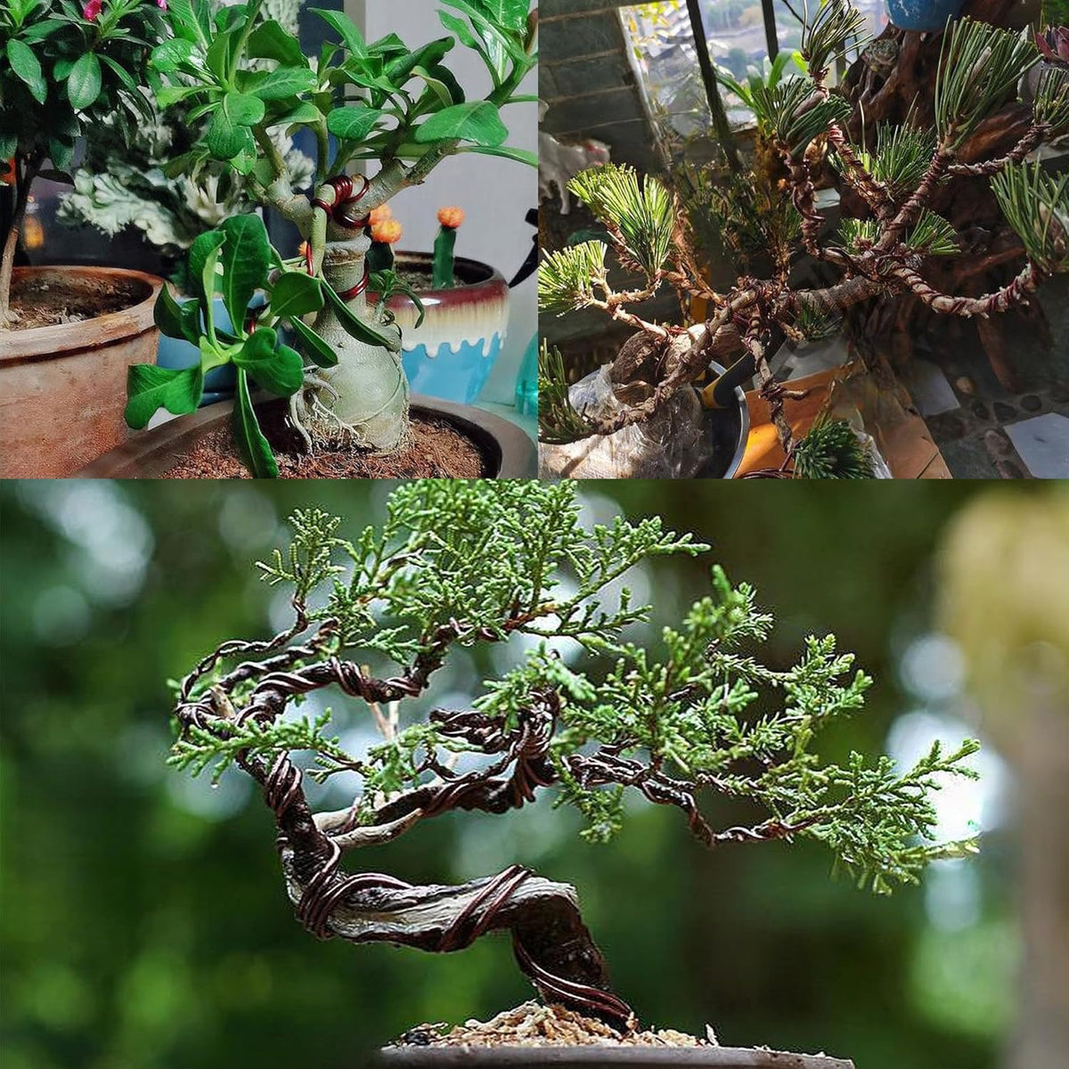 2 Rolls 2mm Bonsai Training Wire, Aluminum Training Wire for Holding Bonsai Branches Small Trunks