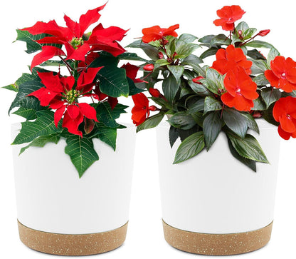 QCQHDU 6.5 inch Plant Pot, 2 Pack Planters for Indoor Plants with Drainage Holes & Saucer, Outdoor