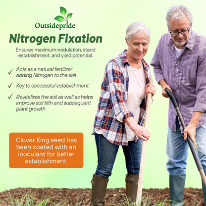 Outsidepride Perennial Clover King Seed Mix - 10 lbs Nitrocoated, Inoculated, Heat & Cold Tolerant