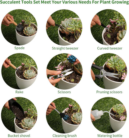 11Pcs Succulent Tools,Mini Garden Tools,Succulent Watering Tool as Plant Accessories,Succulent