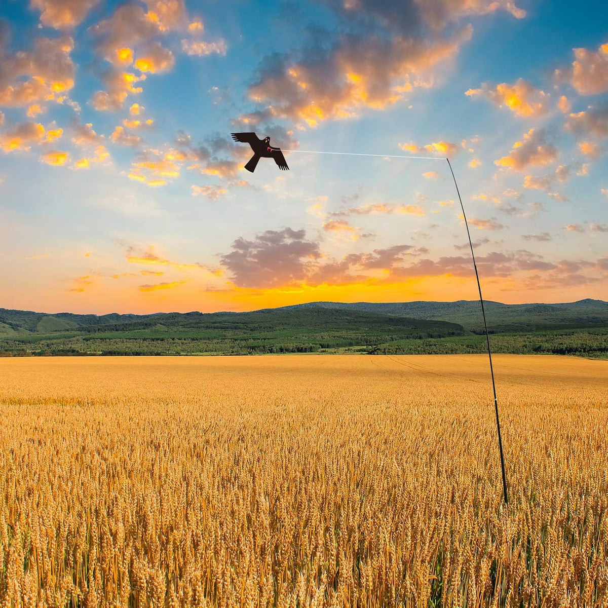 eyijklzo Bird Scarer Flying Kite Crops Farm Flying Bird Hawk Flying Kite