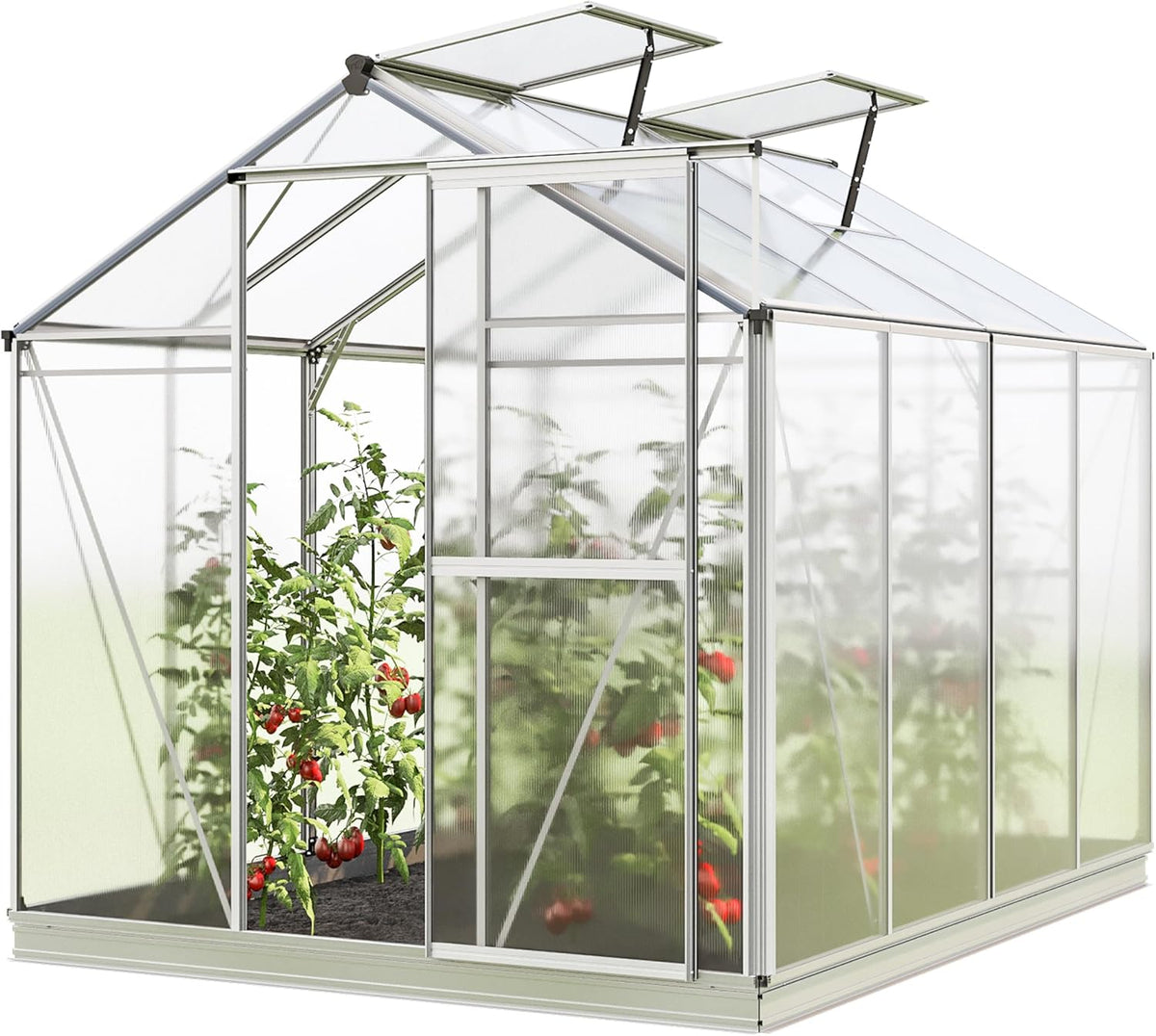 Greenhouse Jasmin 4 Aluminum Frame - 6.3 x 8.4 ft Approx. 6 mm Polycarbonate Panels - Bonus Base