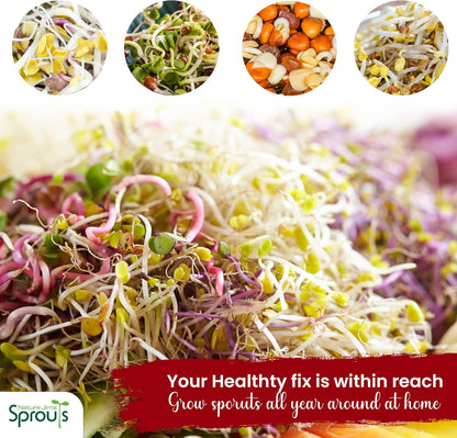Nature Jims Radish Sprout Seeds – 16 Ounce Organic Sprouting Seeds – Non-GMO Premium Radish