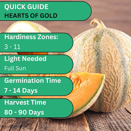 Woods Creek Seeds: Hearts of Gold Cantaloupe Melon Seeds for Planting - Over 90 Heirloom Non-GMO