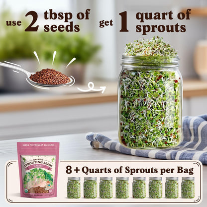 Seedboy Organic Non-GMO Radish Seeds for Sprouting - USA Grown Microgreens Sprouting Seeds - 8 oz