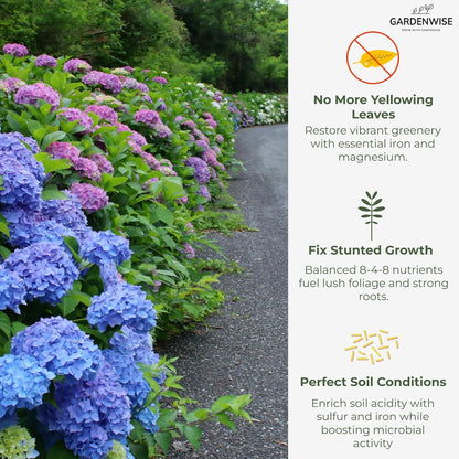Slow Release Hydrangea Fertilizer with Iron & Sulfur – Indoor & Outdoor Soil Acidifier for Miracle