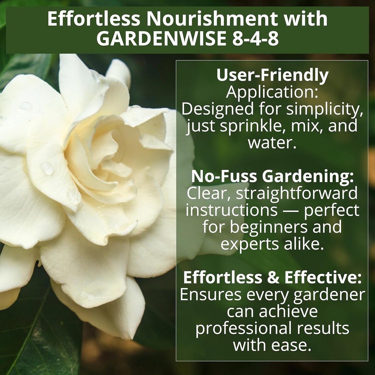 8-4-8 Acidic Fertilizer for Azaleas, Camellias (Camelia), Hydrangeas, Blueberries, Gardenias