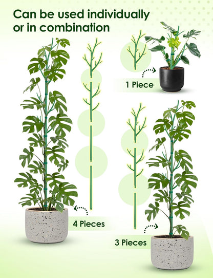 NiHome 50" Plant Support Stakes 5-Pack for Indoor & Outdoor Garden Climbing Plants Enhances Upright
