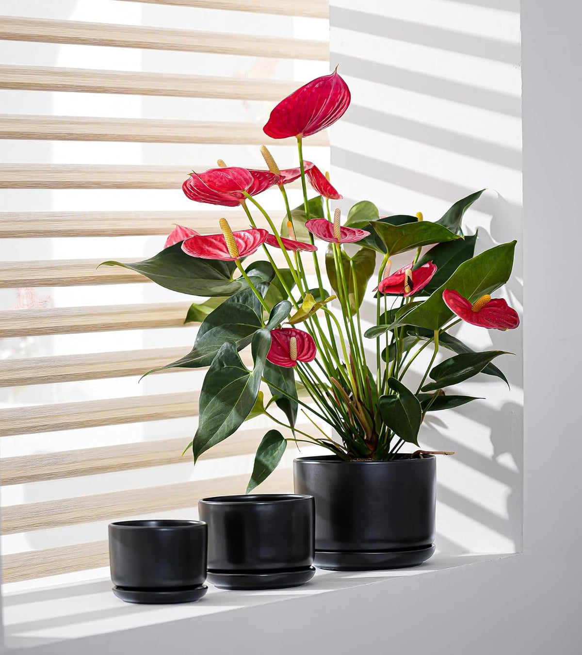 Ton Sin Plant Pots, 4.1+5.1+6.5 inch, Set of 3, Ceramic Planters with Drainage Hole and Saucer
