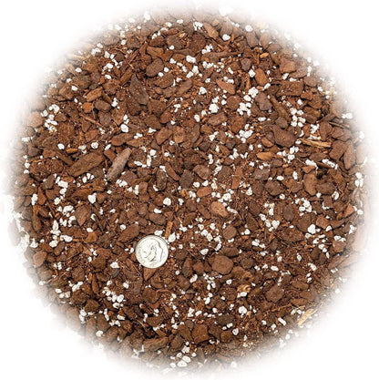 Monstera Dubia Soil Blend - Ensures Superior Aeration and Drainage for Vibrant Growth - 5 Quart