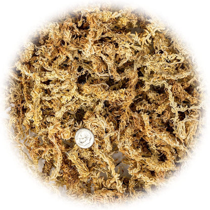 Premium New Zealand Sphagnum Moss by Gardenera - Organic Hand Mixed Long Fibered Sphagnum Moss