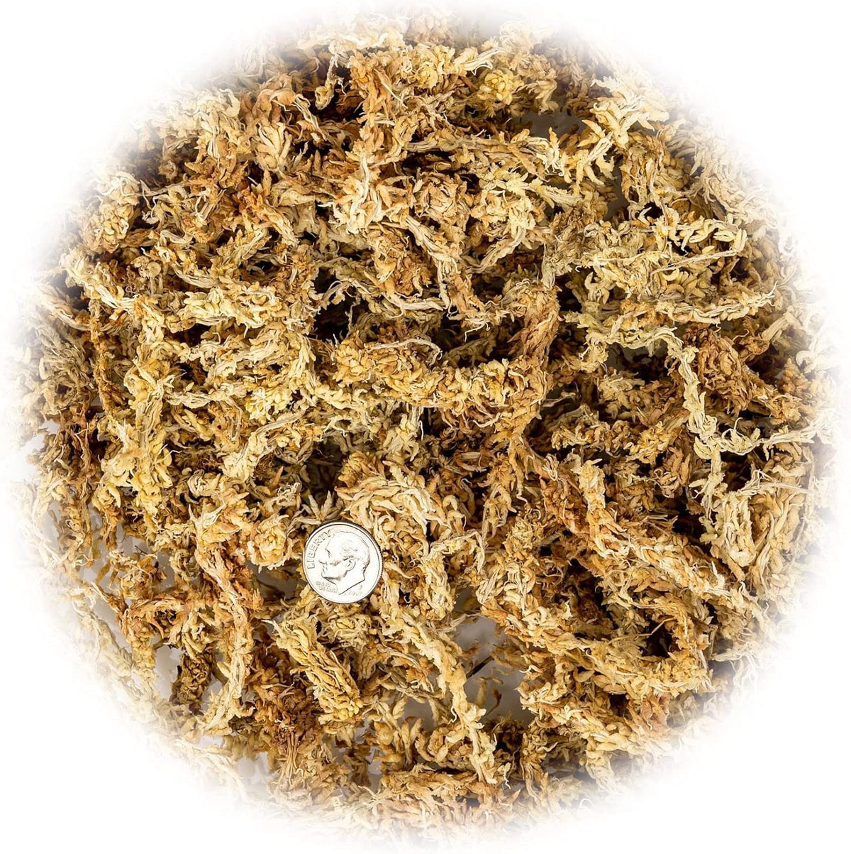 Premium New Zealand Sphagnum Moss by Gardenera - 20 Quart - Organic Hand Mixed Long Fibered