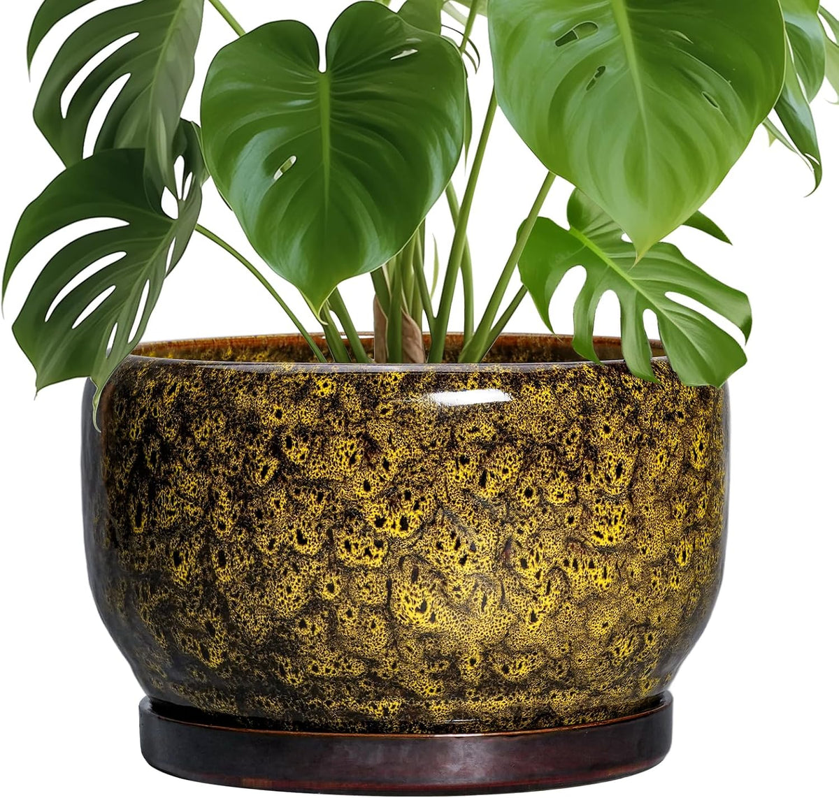 SQOWL 10 Inch Plant Pot - Ceramic Flower Pots with Drainage Hole and Saucer, Ceramic Planter for