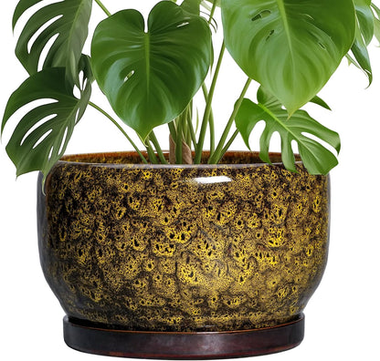 SQOWL 10 Inch Plant Pot - Ceramic Flower Pots with Drainage Hole and Saucer, Ceramic Planter for