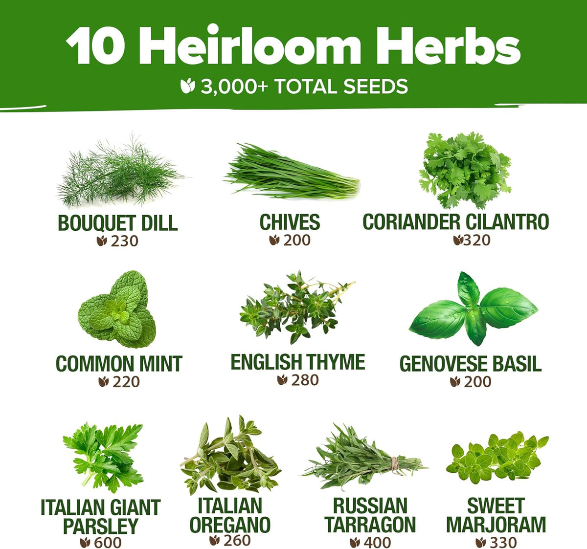 HOME GROWN 10 Herb Seeds for Planting 3,000+ Non-GMO Heirloom Seeds | Extra Large Variety Pack Herb