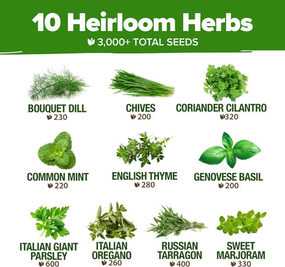 HOME GROWN 10 Herb Seeds for Planting 3,000+ Non-GMO Heirloom Seeds | Extra Large Variety Pack Herb