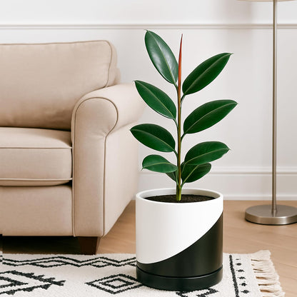 D'vine Dev 10 Inch Ceramic Planter Pot with Drainage Hole and Saucer, Indoor Cylinder Round Planter