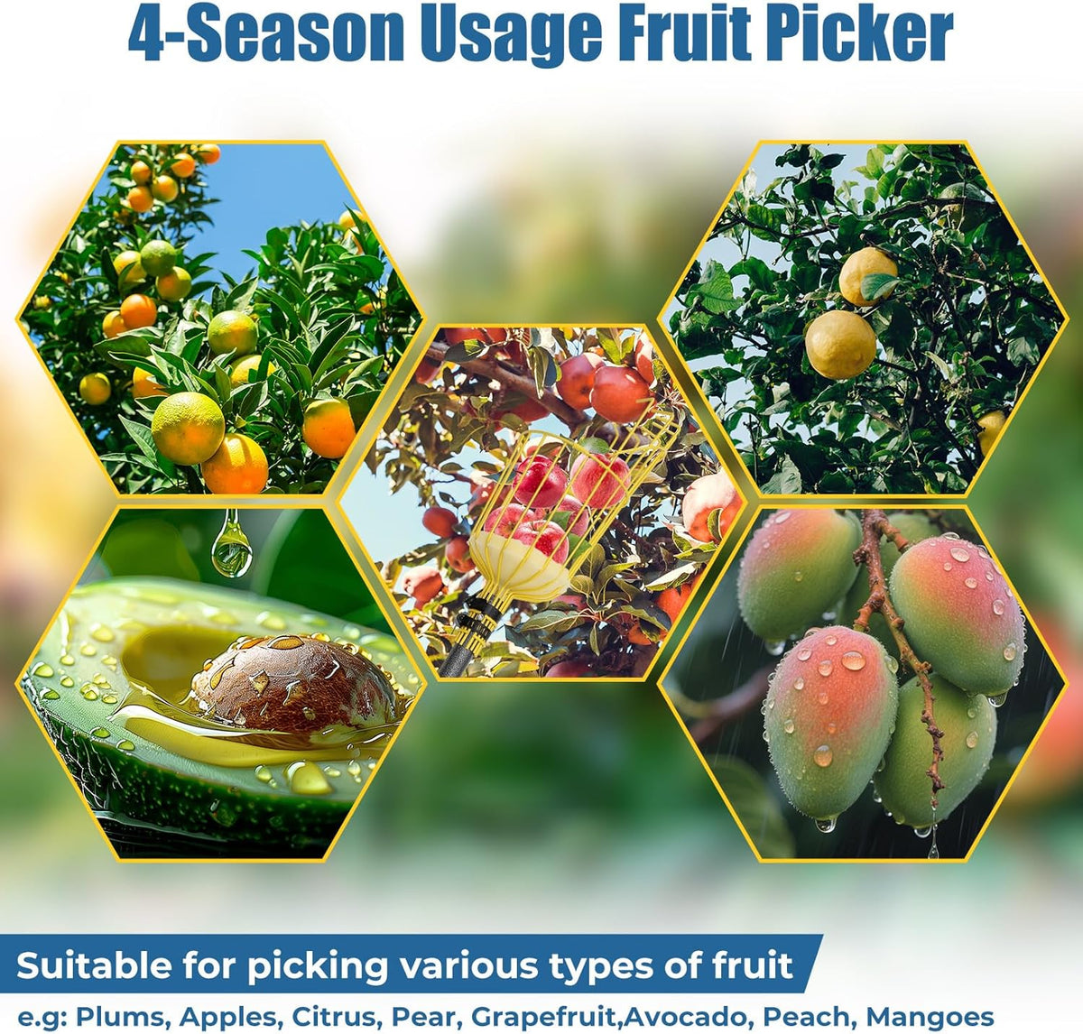 Fruit Picker Pole Tool – Ladder-Free Harvesting Aid, Safe for Elderly and Children, Durable
