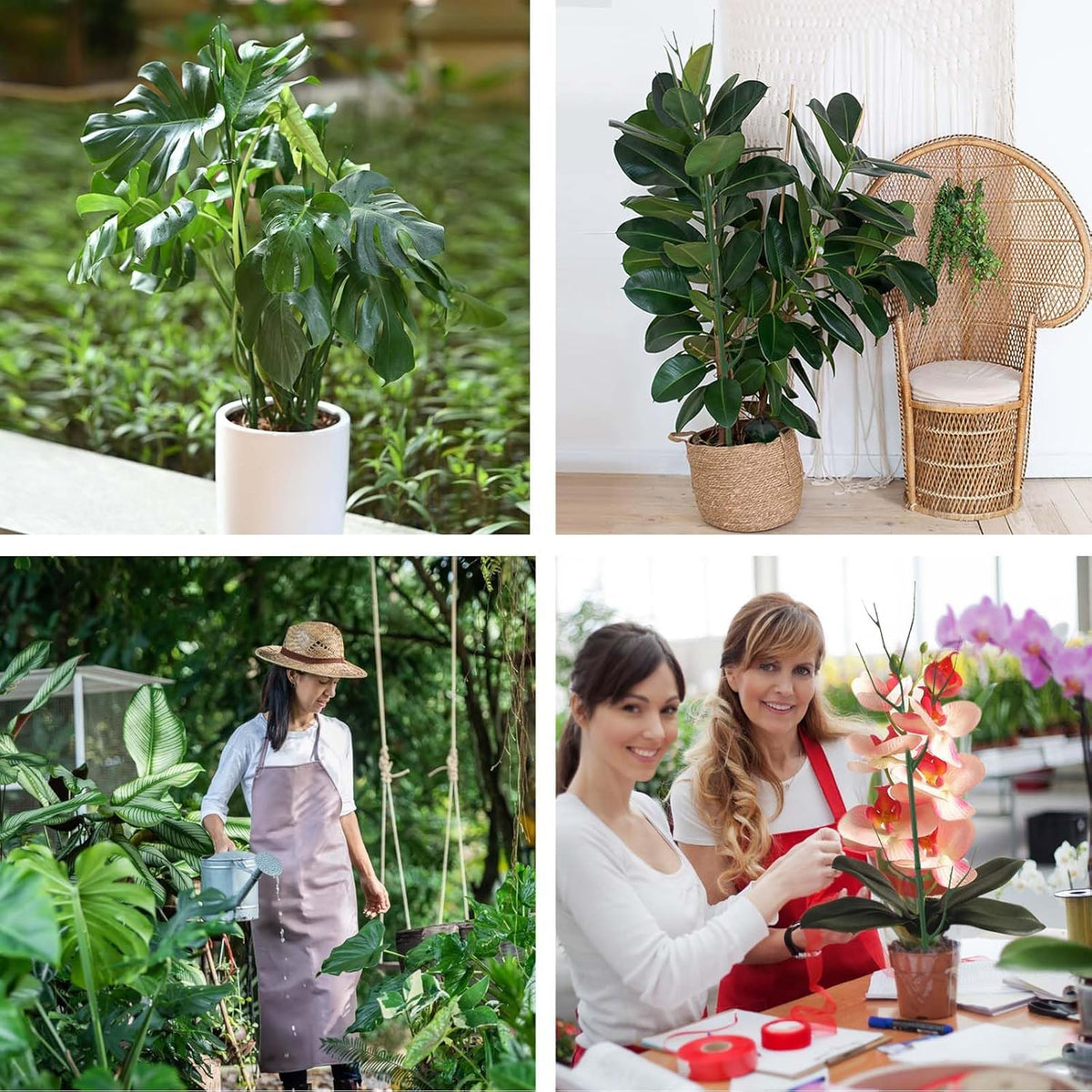 12 Pack Plant Support Stakes, Plant Stakes for Indoor and Outdoor Plants. 39.37inch Plant Sticks