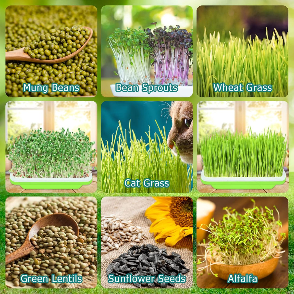 Legigo 10 Pack Green Seed Sprouter Trays- Soil-Free Cultivation Germination Tray, BPA Free Nursery