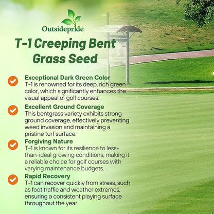 Outsidepride T-1 Creeping Bentgrass Seed - 5 lbs Fine-Bladed, Premium Quality Turf, Grass Seed for