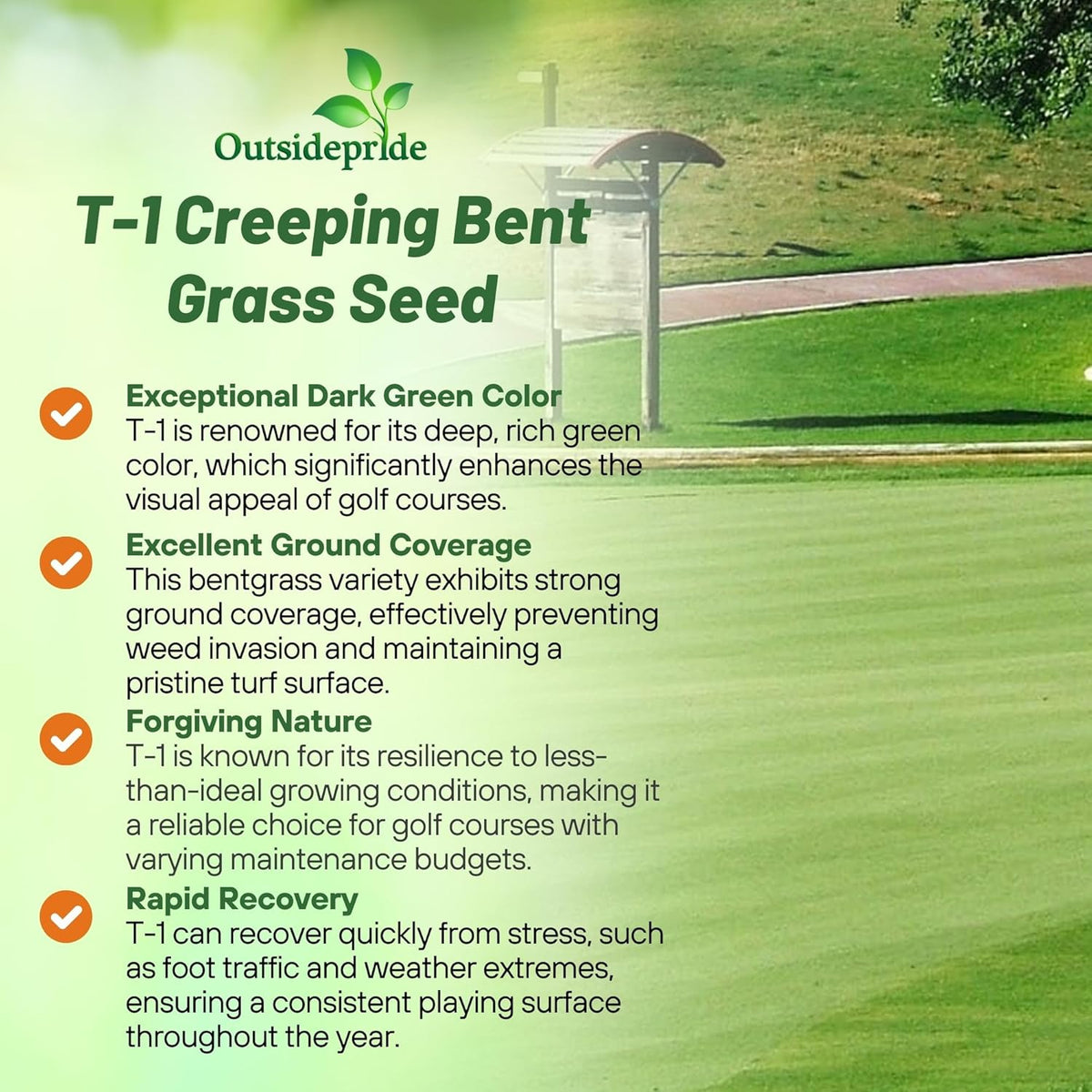 Outsidepride T-1 Creeping Bentgrass Seed - 1 lbs Fine-Bladed, Premium Quality Turf, Grass Seed for