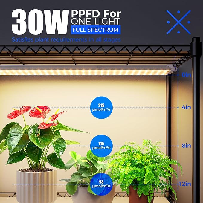 Barrina CX2 Plant Stand with Grow Lights for Indoor Plants, 6-Tier Metal Plant Shelf Display Rack