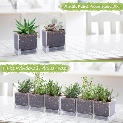 4 Inch Herb Planter Pot, Plastic Planter with Drainage Holes and Saucer, Modern Decorative