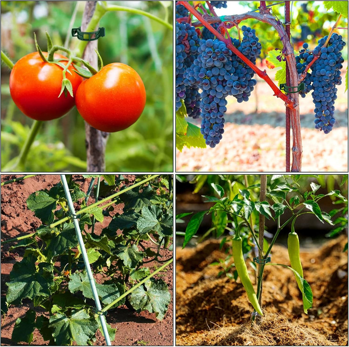50 PCS Plant Support Clips, Tomato Vine Clips, Trellis Plastic Clips, Garden Vine Fixing Clips