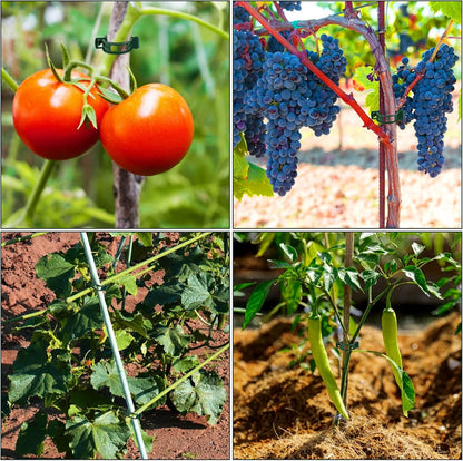 50 PCS Plant Support Clips, Tomato Vine Clips, Trellis Plastic Clips, Garden Vine Fixing Clips