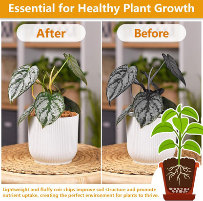 Legigo 2 Pack Coco Husk Chips- 2.2 LB 100% Organic Coconut Coir Chips Brick Potting Soil Mix with