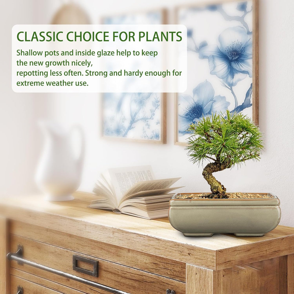 Ceramic Bonsai Pots with Drainage Hole, Set of 2 Rectangular Glazed Bonsai Planters for