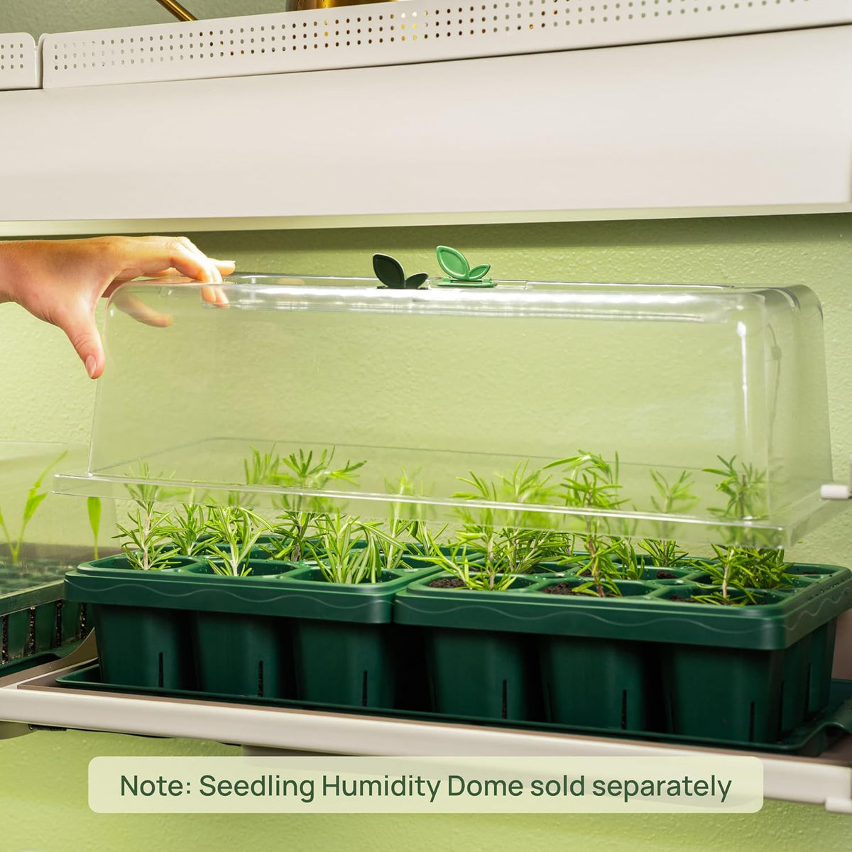 Vego garden Giga Seedling Trays - 8 Pack, 9-Cell UV-Resistant Reusable Starter Trays for