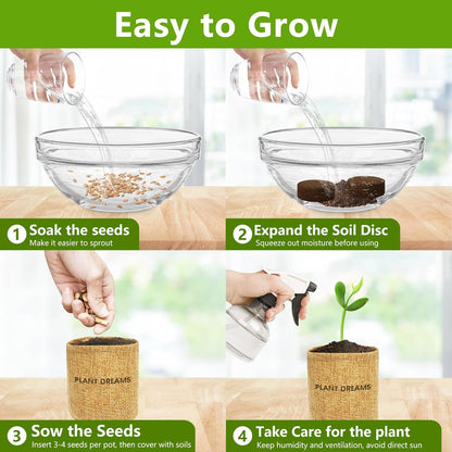 Bonsai Tree Kit, Bonsai Starter Kit with Seeds Tools & Planters, Tree Live Plants Indoor, Gardening